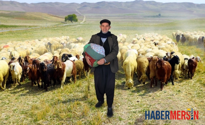 Toroslar’dan Erdemli’ye Bir Kültür Çınarı: Yörük Gocası "Uzun Mehmet"