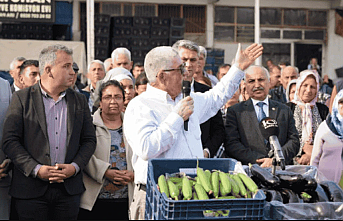 Aydıncık Salatalık Üreticilerinden Düşük Fiyat Protestosu: Zararımız Kimin Suçu?