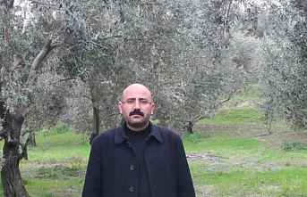 Mut Zeytin Üreticilerinin Çözüm Çağrısı: "Zeytin Borsası Kurulmalı!"