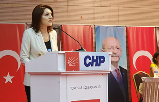 CHP Milletvekili Gülcan Kış'tan Ekonomiye...