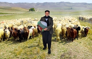 Toroslar’dan Erdemli’ye Bir Kültür Çınarı:...