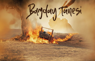 Küllerinden Doğan Bir Umut: "Buğday Tanesi" Muğla’da