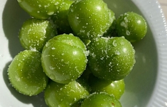 MUT GÖKSU’DA HASAT BAŞLADI