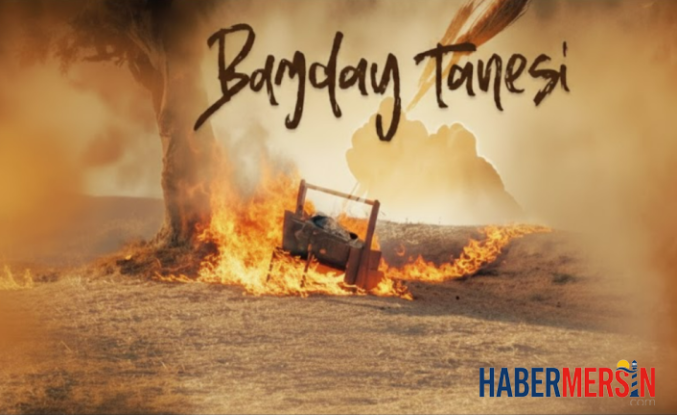 Küllerinden Doğan Bir Umut: "Buğday Tanesi" Muğla’da