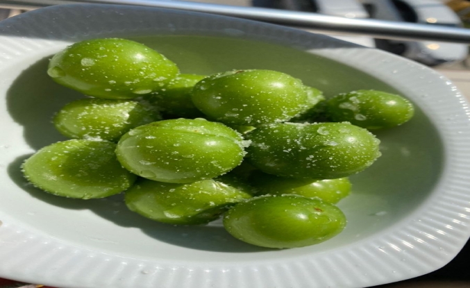 MUT GÖKSU’DA HASAT BAŞLADI