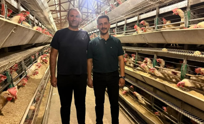 Mut'ta Üretime Tam Destek: Ahmet Hüsrev Demir'den Tavuk Çiftliği Ziyareti